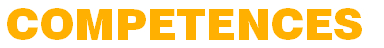 competences - SAP Business Process Optimization Consulting